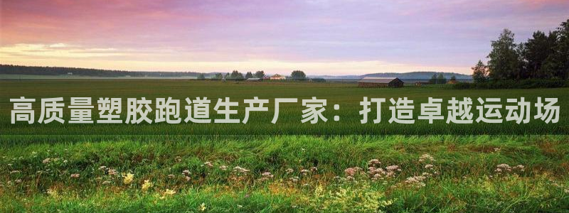 谈球吧网页登录：高质量塑胶跑道生产厂家：打造卓越运动
