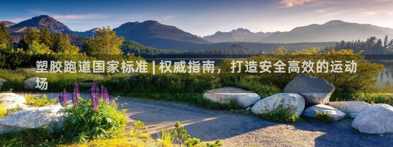 谈球吧体育app下载足球直播：塑胶跑道国家标准 | 权威指南，打造安全高效的运动
场