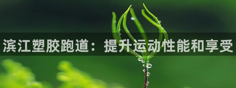 谈球吧APP开元：滨江塑胶跑道：提升运动性能和享受