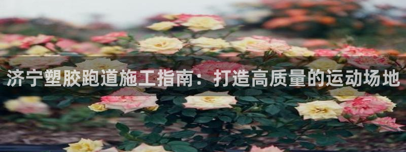 谈球吧