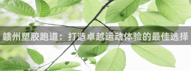 谈球吧官网入口：赣州塑胶跑道：打造卓越运动体验的最佳选择