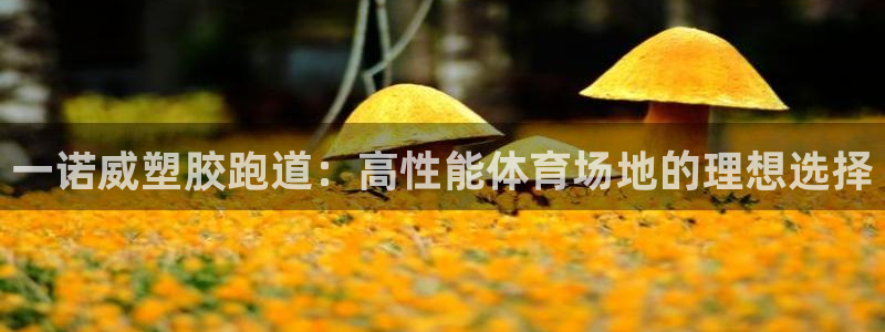 谈球吧能提现不：一诺威塑胶跑道：高性能体育场地的理想