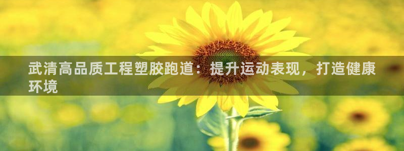 谈球吧体育官网在线入口：武清高品质工程塑胶跑道：提升运动表现，打造健康
环境