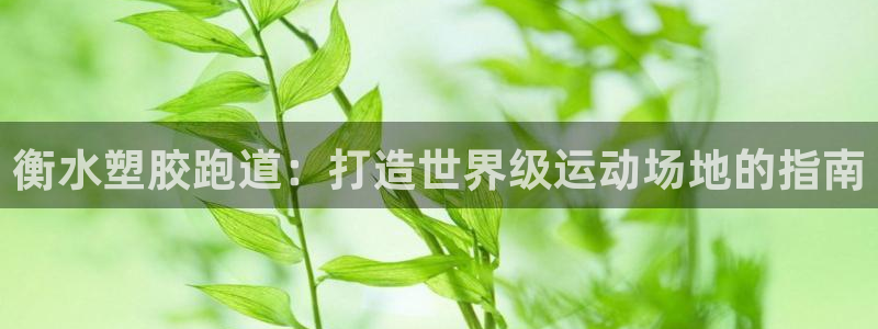 谈球吧是黑台子吗：衡水塑胶跑道：打造世界级运动场地的