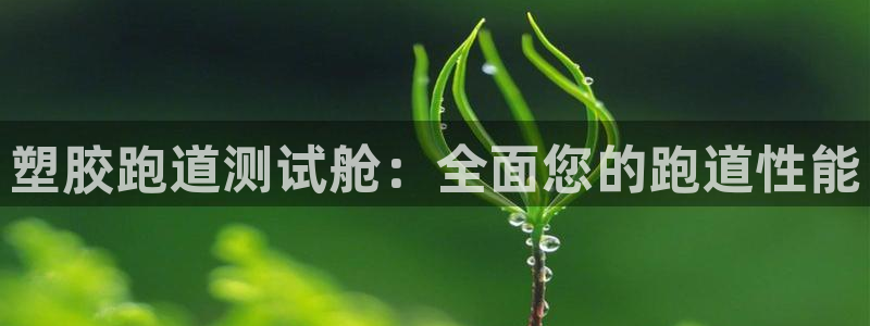 谈球吧APP：塑胶跑道测试舱：全面您的跑道性能