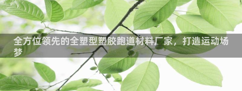 谈球吧官网入口：全方位领先的全塑型塑胶跑道材料厂家，打造运动场
梦