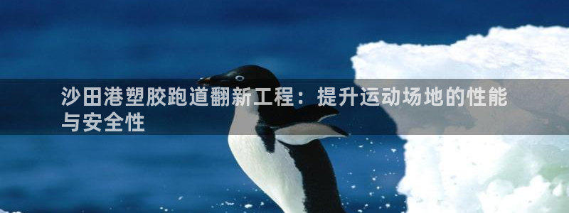 谈球吧体育app下载中心官方：沙田港塑胶跑道翻新工程