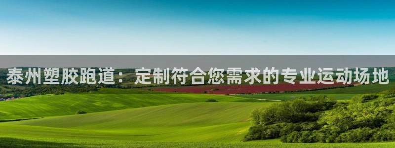 谈球吧咋样黑钱：泰州塑胶跑道：定制符合您需求的专业运动场地