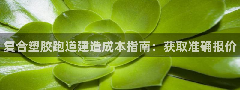 谈球吧体育app下载足球比赛直播：复合塑胶跑道建造成