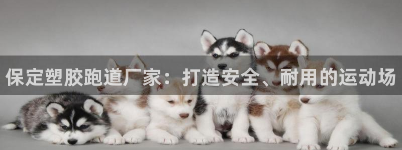 谈球吧是正规平台吗知乎：保定塑胶跑道厂家：打造安全、