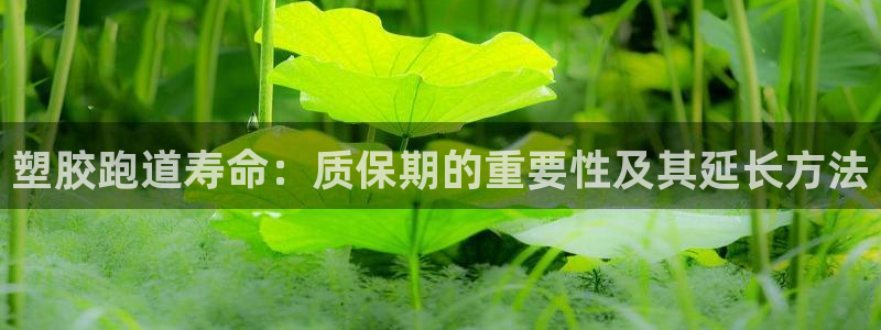 谈球吧网址：塑胶跑道寿命：质保期的重要性及其延长方法