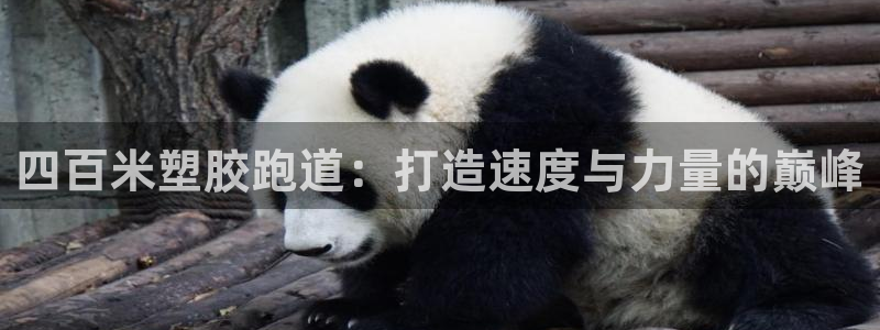 谈球吧：四百米塑胶跑道：打造速度与力量的巅峰