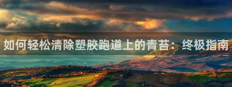 谈球吧网页登录：如何轻松清除塑胶跑道上的青苔：终极指