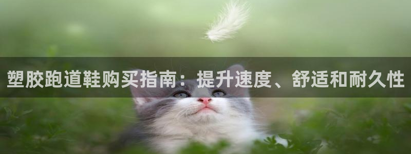 谈球吧平台app下载网址是多少：塑胶跑道鞋购买指南：提升速度、舒适和耐久性