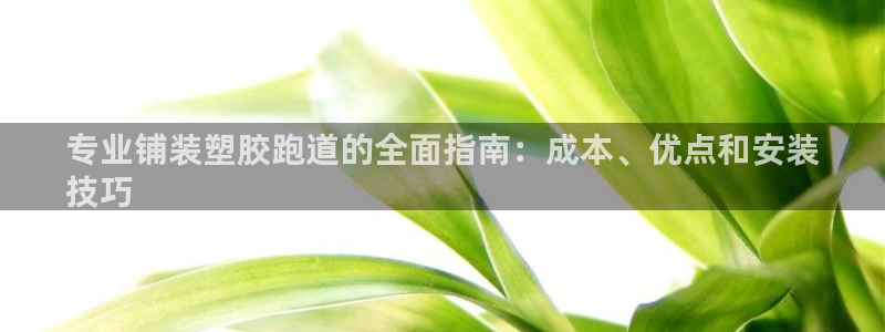 谈球吧的聊天软件叫什么：专业铺装塑胶跑道的全面指南：