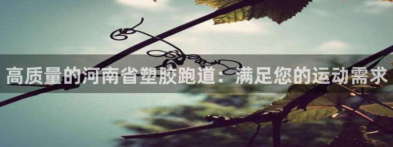 谈球吧app下载安装：高质量的河南省塑胶跑道：满足您的运动需求