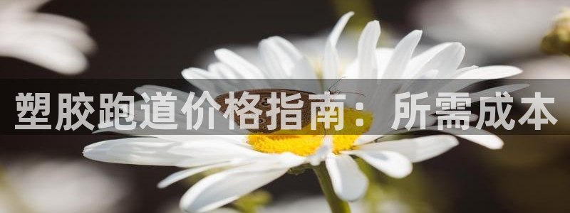 谈球吧：塑胶跑道价格指南：所需成本