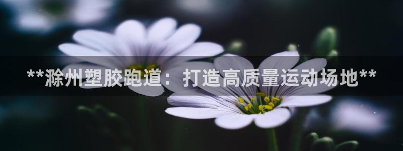 谈球吧app官网：**滁州塑胶跑道：打造高质量运动场