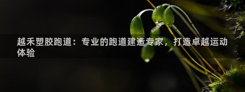 谈球吧与普通平台对比：越禾塑胶跑道：专业的跑道建造专家，打造卓越运动
体验