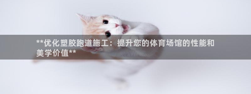 谈球吧app下载安装：**优化塑胶跑道施工：提升您的