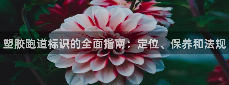 谈球吧网站：塑胶跑道标识的全面指南：定位、保养和法规