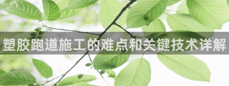 谈球吧平台正规吗可信吗知乎：塑胶跑道施工的难点和关键