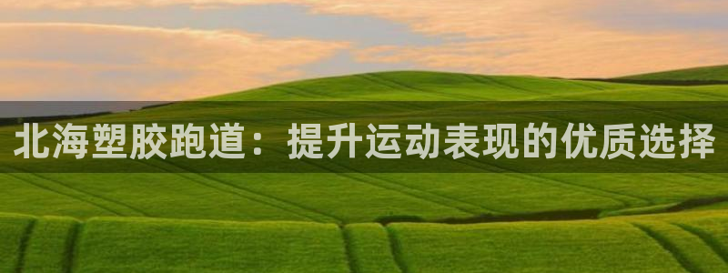 谈球吧是黑台子吗还是白台子好：北海塑胶跑道：提升运动表现的优质选择