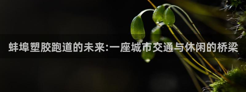 谈球吧APP开元