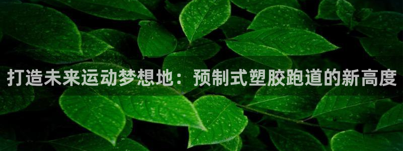 谈球吧体育app下载足球比赛