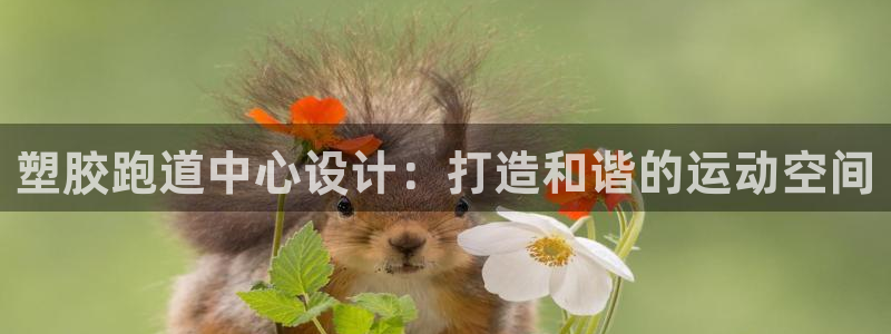 谈球吧综合官网app