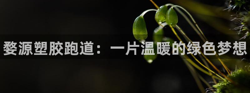 谈球吧是正规平台吗知乎