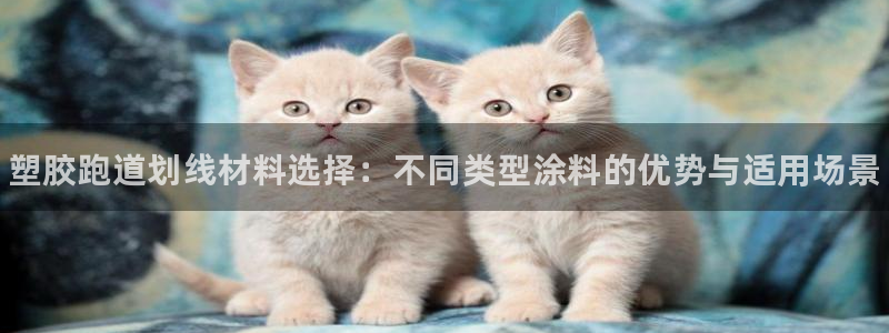 谈球吧入口