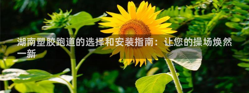 谈球吧体育app官网下载安装：湖南塑胶跑道的选择和安装指南：让您的操场焕然
一新