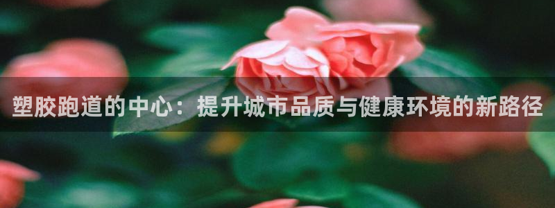 谈球吧红包激活码