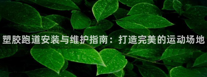 谈球吧言网入口：塑胶跑道安装与维护指南：打造完美的运