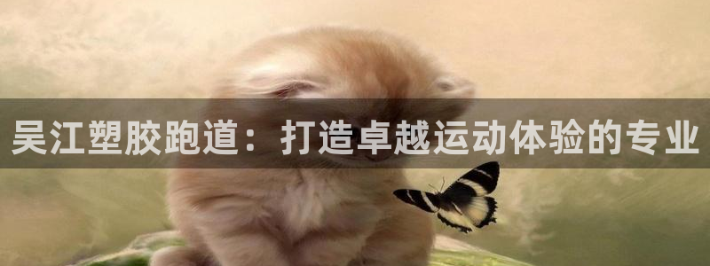 谈球吧体育app下载足球：吴江塑胶跑道：打造卓越运动