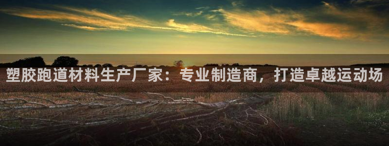 谈球吧的聊天软件叫什么名字：塑胶跑道材料生产厂家：专业制造商