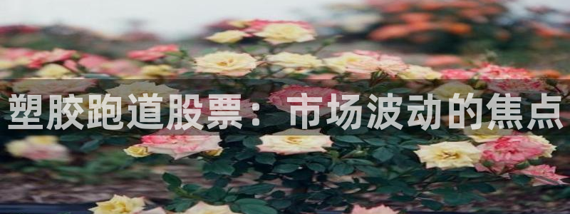 谈球吧体育app下载中心官网