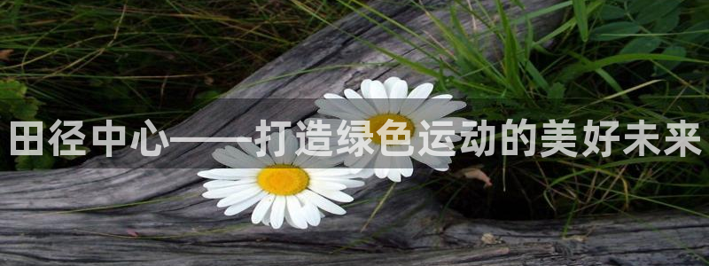 谈球吧言网入口：田径中心——打造绿色运动的美好未来