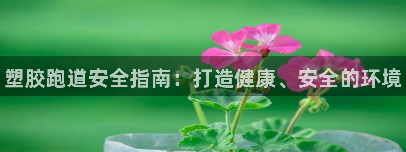 谈球吧体育ios下载