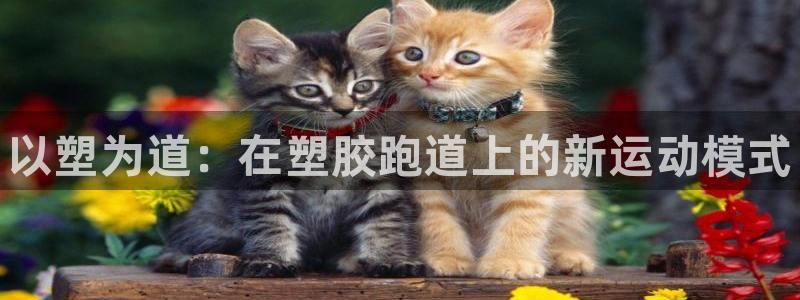 谈球吧是黑台子吗还是白台子好：以塑为道：在塑胶跑道上的新运动模式