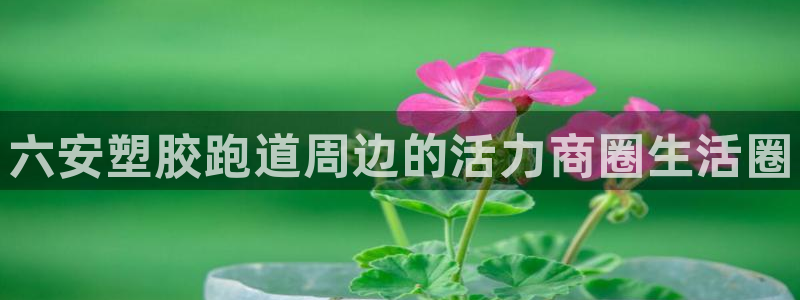 谈球吧体育app下载中心在哪找：六安塑胶跑道周边的活力商圈生