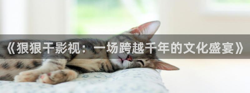 理论片迅播影院：《狠狠干影视：一场跨越千年的文化盛宴》
