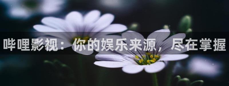 迅播影院电视剧：哔哩影视：你的娱乐来源，尽在掌握