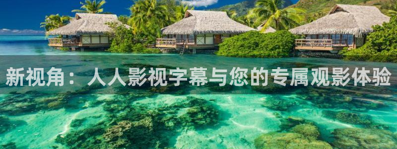 迅播影院播放器下载：新视角：人人影视字幕与您的专属观影体验