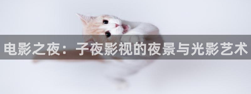 迅播影院绿色皇宫：电影之夜：子夜影视的夜景与光影艺术