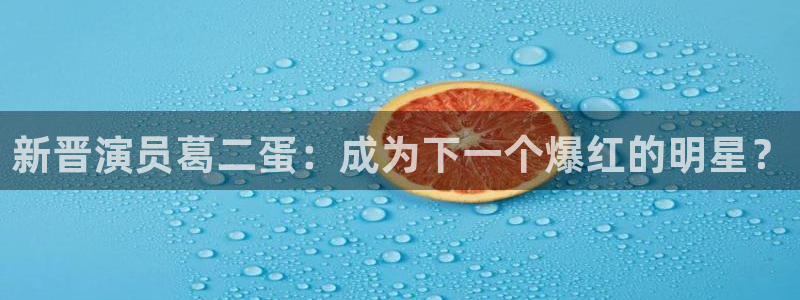 2tucc迅播影院：新晋演员葛二蛋：成为下一个爆红的明星？