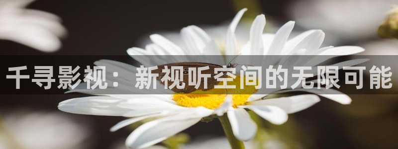 迅播影院手机版：千寻影视：新视听空间的无限可能