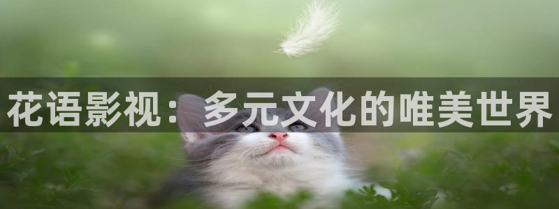 2tucc迅播影院：花语影视：多元文化的唯美世界