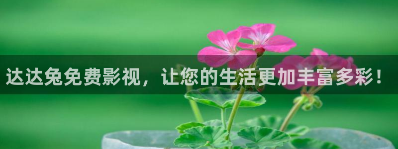 迅播影院播放器下载：达达兔免费影视，让您的生活更加丰富多彩！